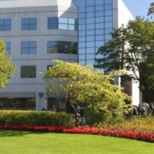 trees and plant beds in front of commercial building | professional tree service company | Stein Tree Service