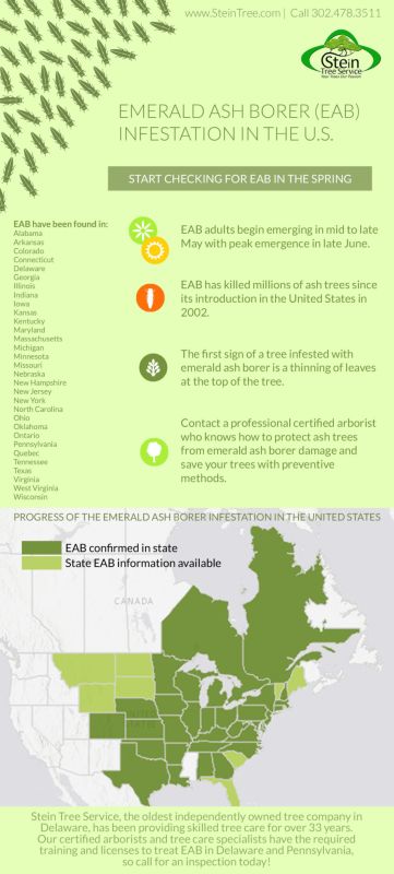 Emerald Ash Borer Infestation Chart Stein Tree Service March 2017