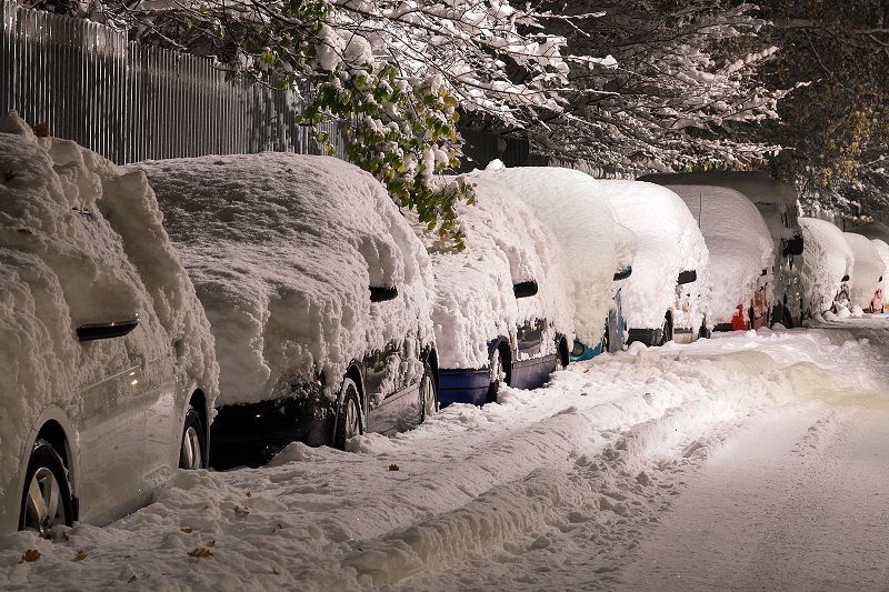 emergency tree removal due to Winter Storm Quinn - trees overhanging fence and cars in heavy snow - Call Stein Tree Service at 302-478-3511