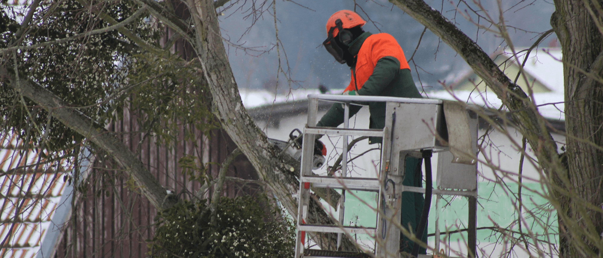 Stein Tree Lift Truck - Tree Trimming in Talleyville DE