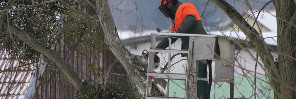 Banner - Tree Worker in bucket lift - trimming trees in Newport DE | Stein Tree Service
