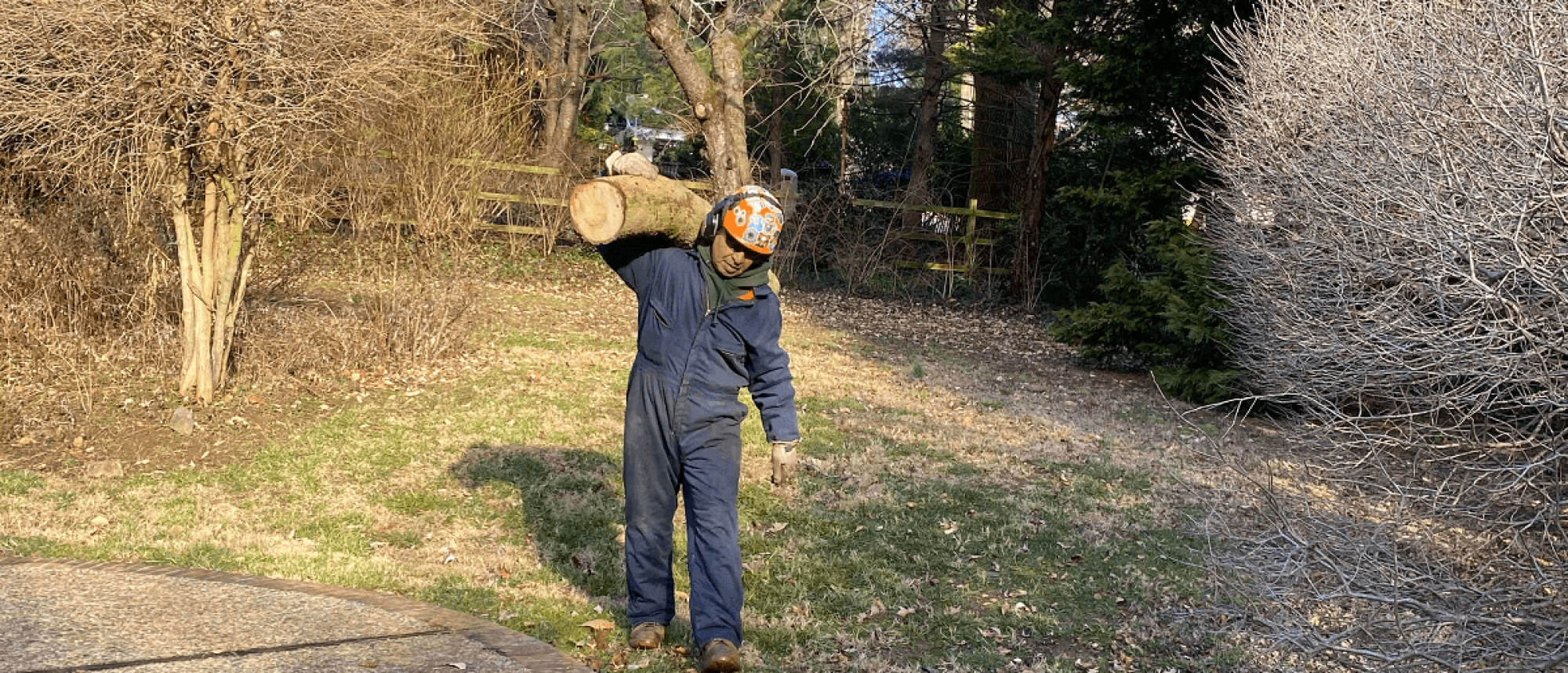 Stein Tree Lift Truck - Tree Trimming in Talleyville DE