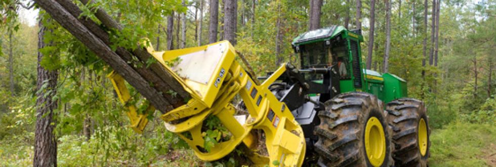 Tree Removal in Delaware