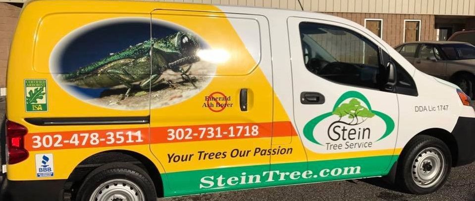 Stein Tree Service van_Professional tree care service company offers a competitive advantage