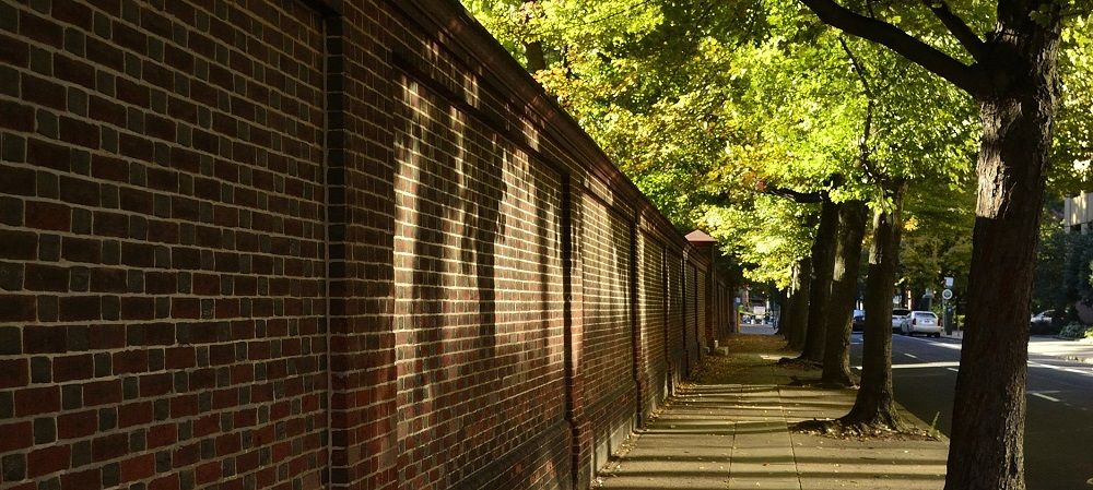 trees along sidewalk and brick wall