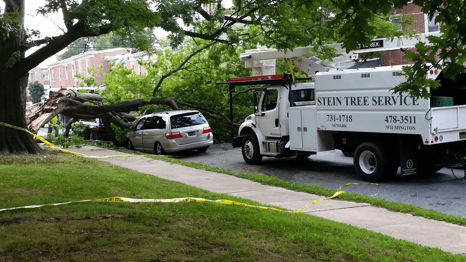 tree fallen on a car parked on a curb - emergency tree care in Wilmington DE - Stein Tree Service