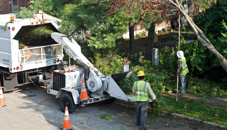 tree removal - Stein-tree-service-chipper