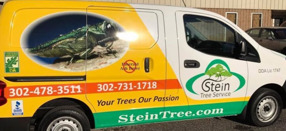 Stein Tree Service van_Professional tree care service company offers a competitive advantage