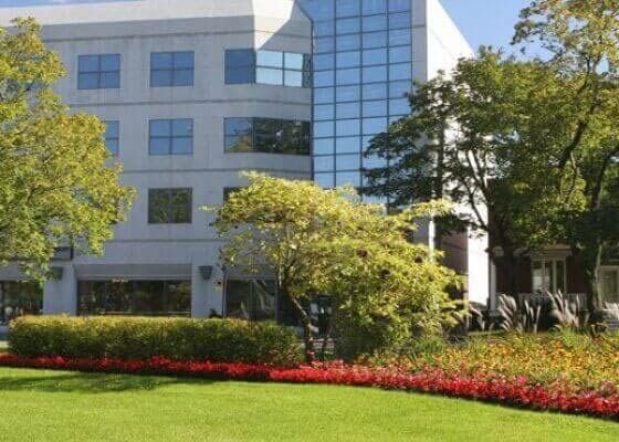 trees and landscaping in front of office building