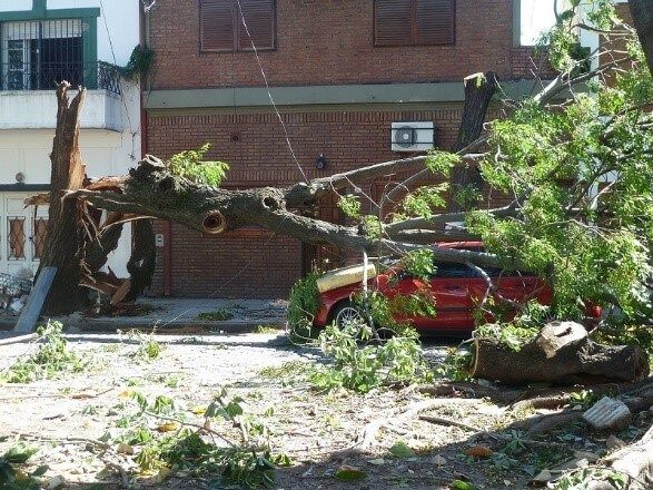 storm clean up Wilmington DE