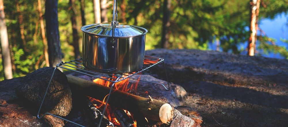 campfire - be aware of threats such as emerald ash borer and the lone star tick when camping - Stein Tree Service