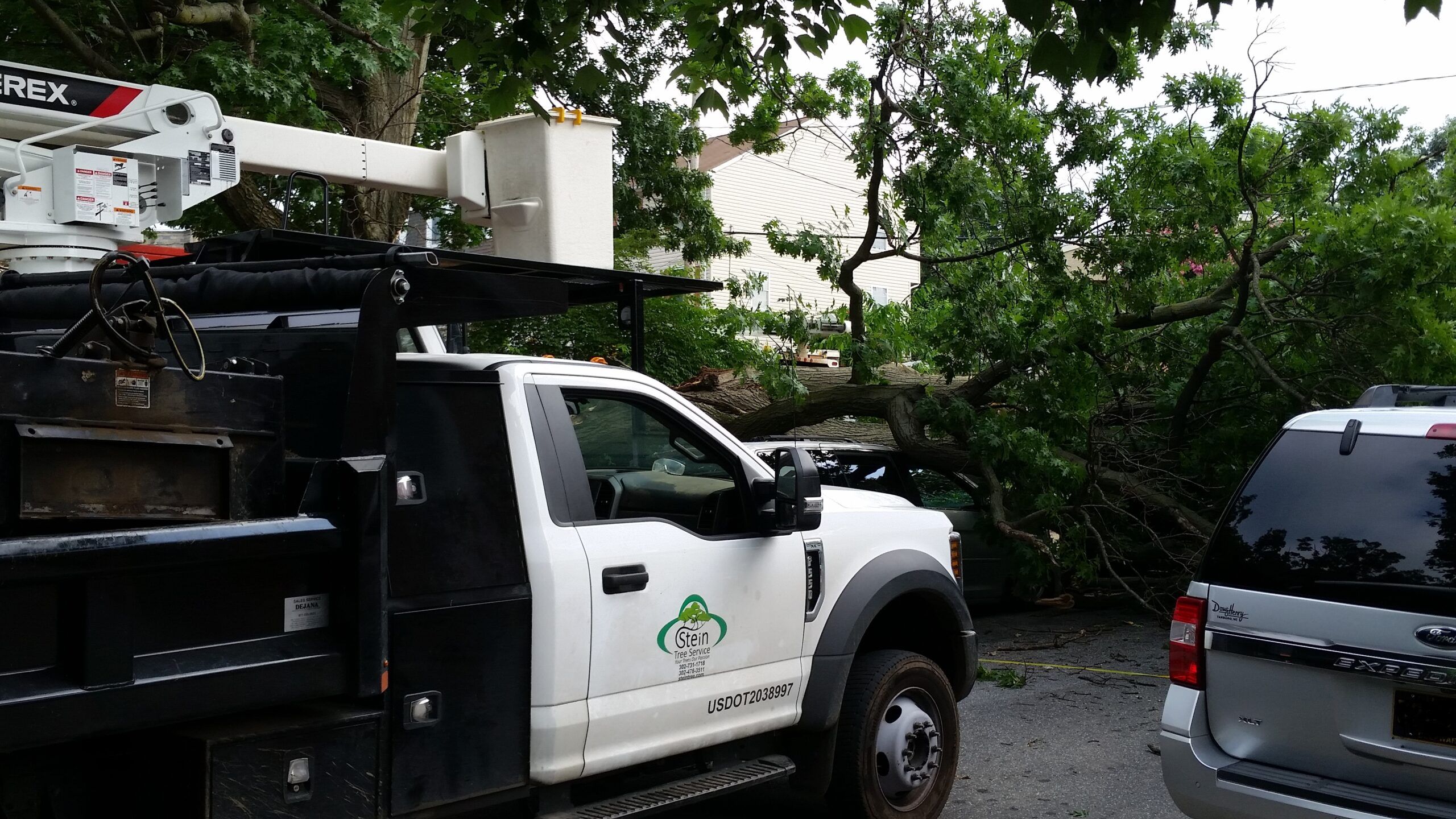 Stein truck at site of fallen tree in roadway | Frequently asked questions about tree removal and other tree services | Stein Tree Service