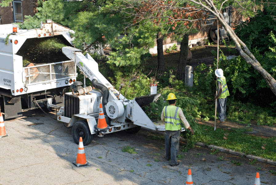 Worker grinding tree branches | Tree Removal in Talleyville Delaware | Stein Tree Service