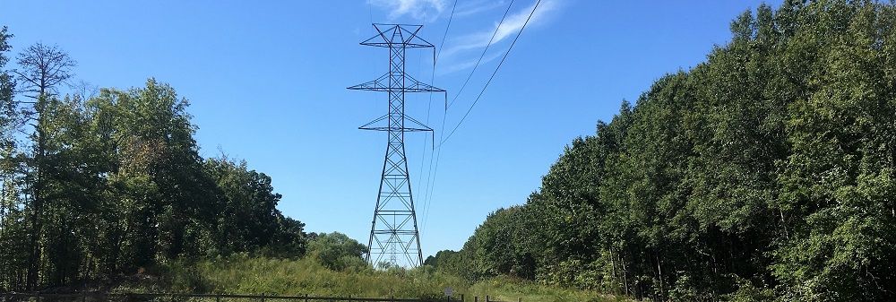 Right of way clearing through a treed area with power lines - Stein Tree Service