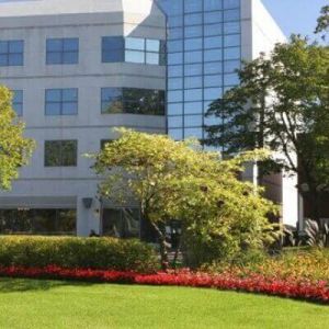 trees and landscaping in front of office building