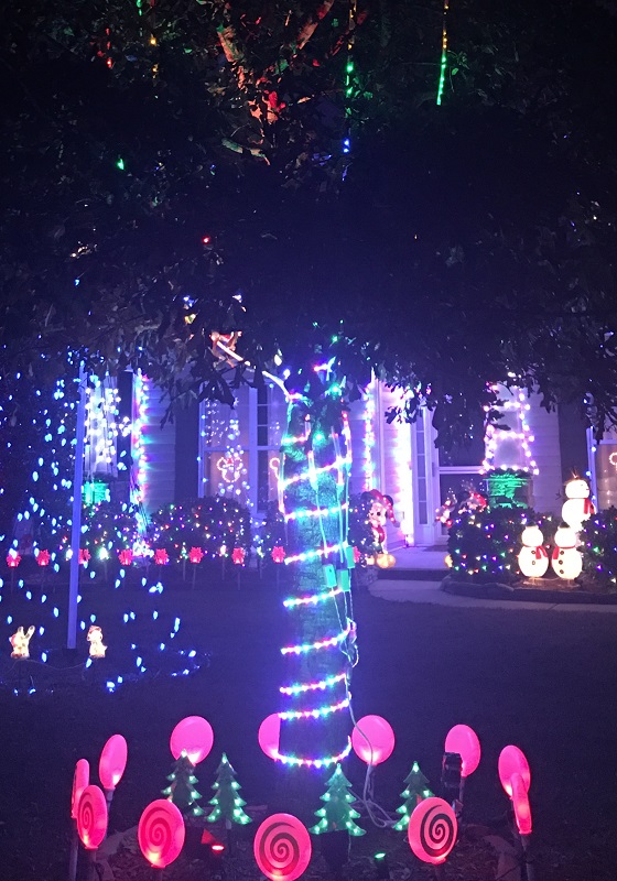 Tree Care in Wilmington, DE -tree decorated for the holidays