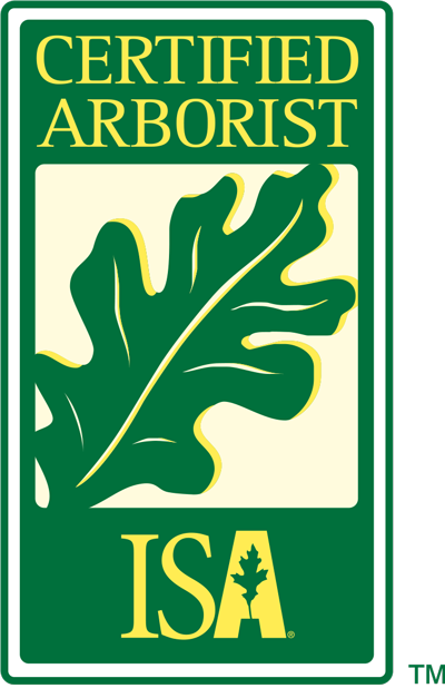 Certified arborist badge - What does an arborist do