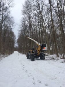 right of way clearing project in snow - Stein Tree