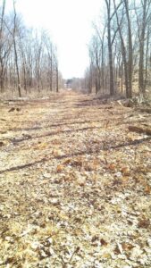 right of way clearing for utility line -Stein Tree Service 800