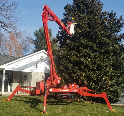 spider compact lift used for tree trimming and shrub pruning