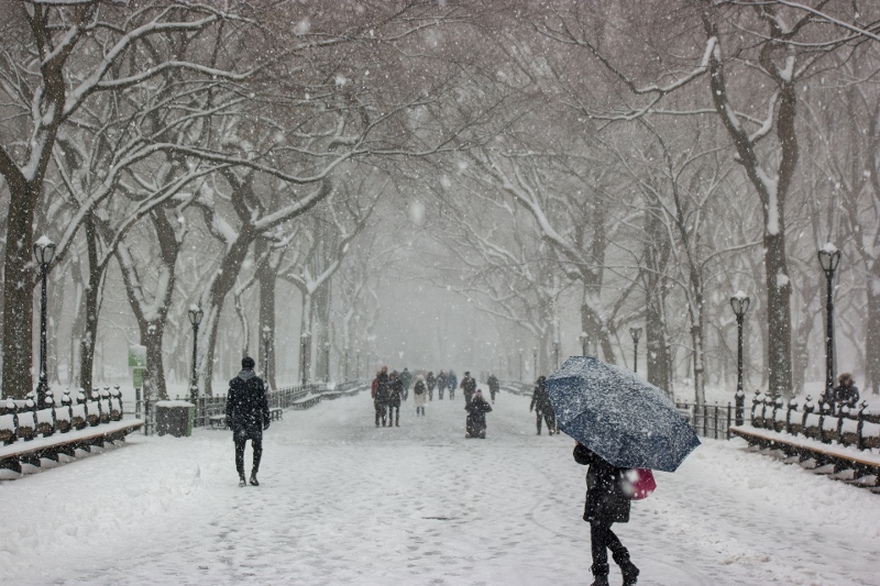 People walking in park, with snow and trees