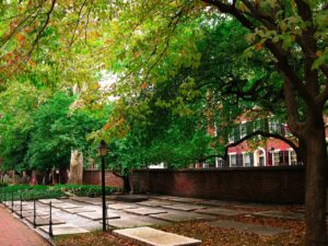 town sidewalk with trees, tree ordinances