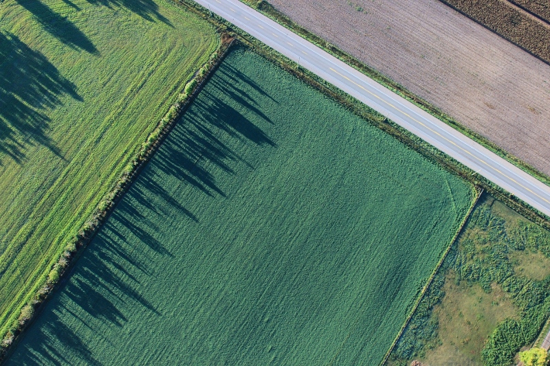 Aerial view of farm, what is a windbreak, Stein Tree Service