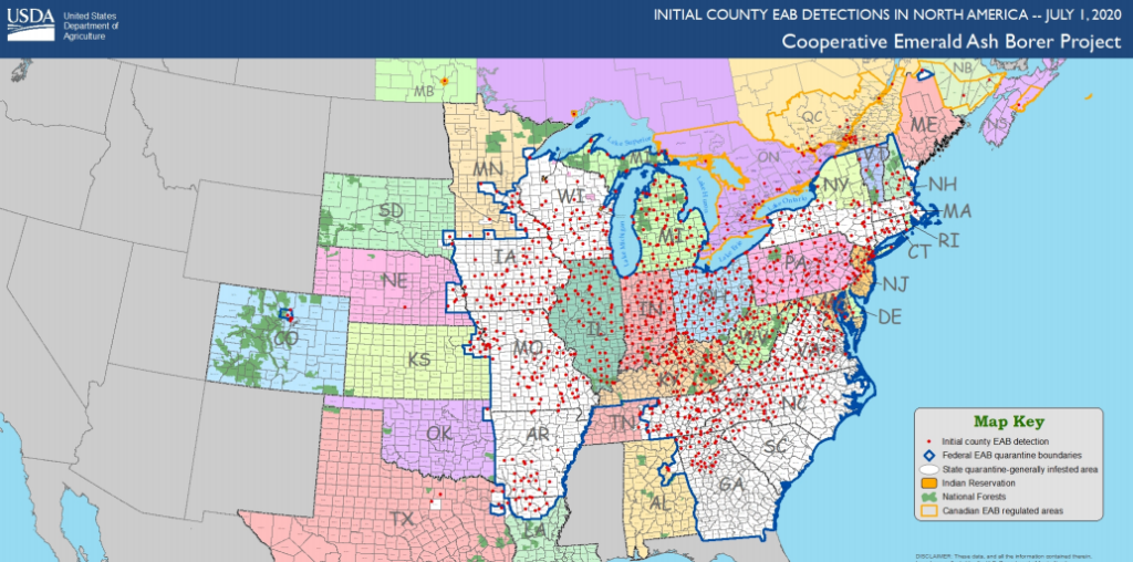 Map of emerald ash borer spread in United States | emerald ash borer spread update | Stein Tree Service
