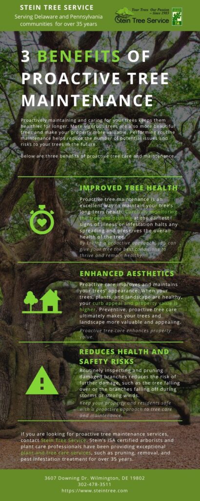 3 Benefits of Proactive Tree Maintenance Infographic | Stein Tree Service