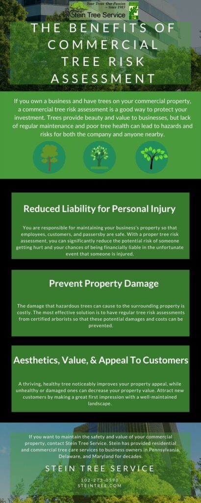 Infographic | Benefits of Commercial Tree Risk Assessment | Stein Tree Service