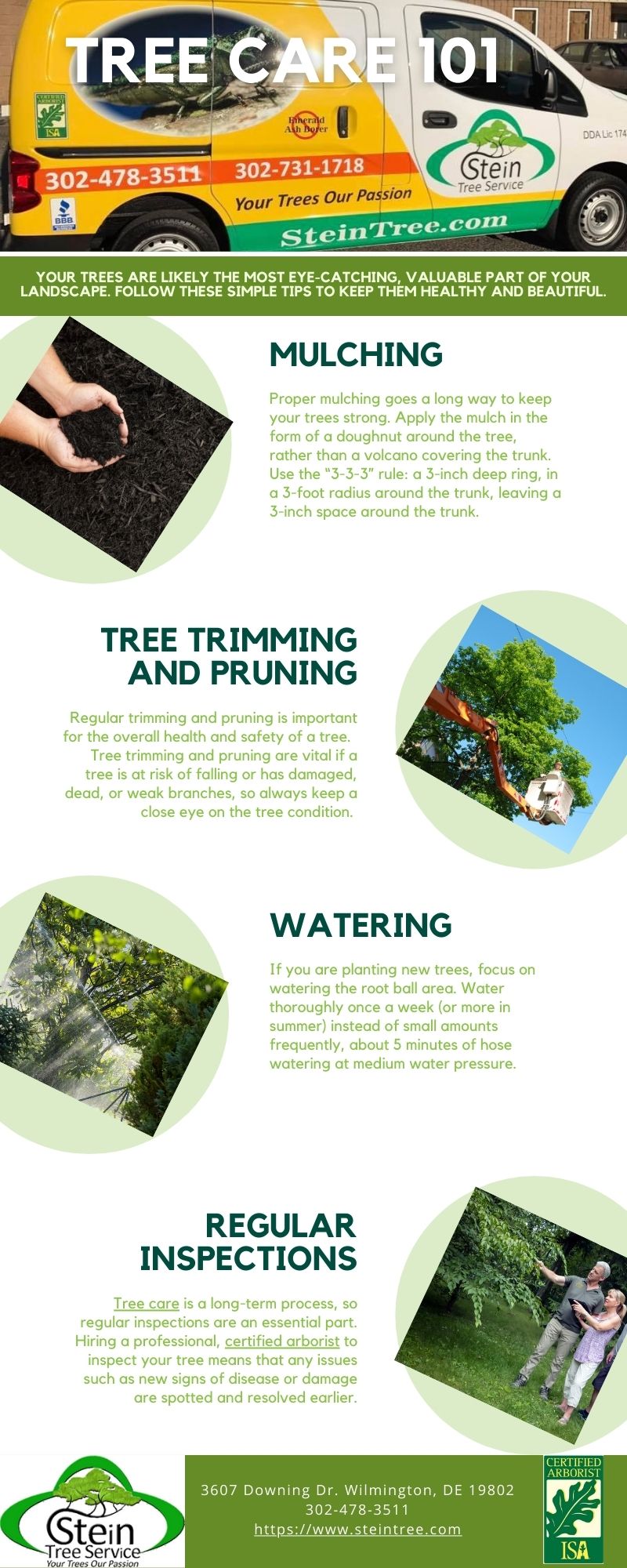 Tree Care 101 Keeping Your Trees Healthy