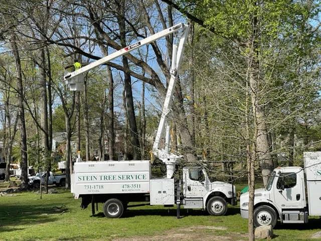 A bucket truck helping a worker to cut tree branches at height
