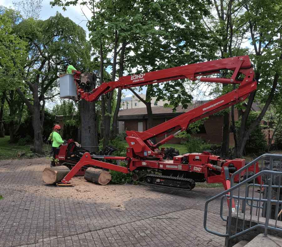 A men working on a crane to cut tree branches 