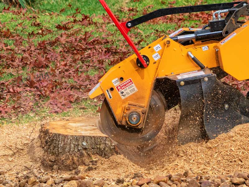 stump grinder grinding a stump