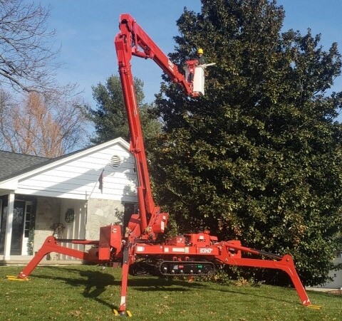 Expert tree trimming removal and maintenance services in Wilmington, DE