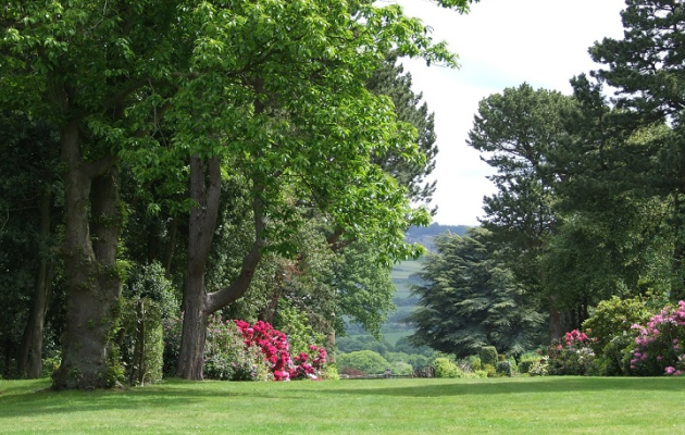 Big grassy yard leading to treed area with colorful shrubs - Tree and Plant Health Care in Wilmington DE