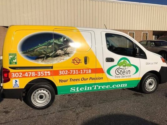 Stein Tree Service van | Tree trimming in Claymont DE