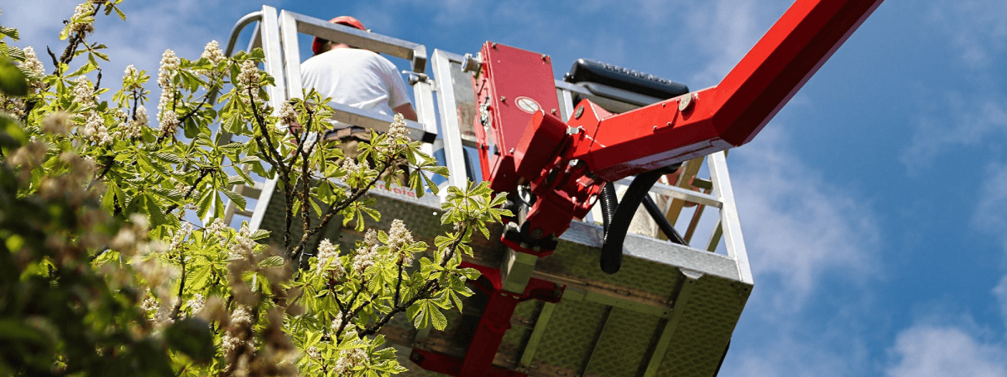 Stein Tree Lift Truck - Tree Trimming in Talleyville DE