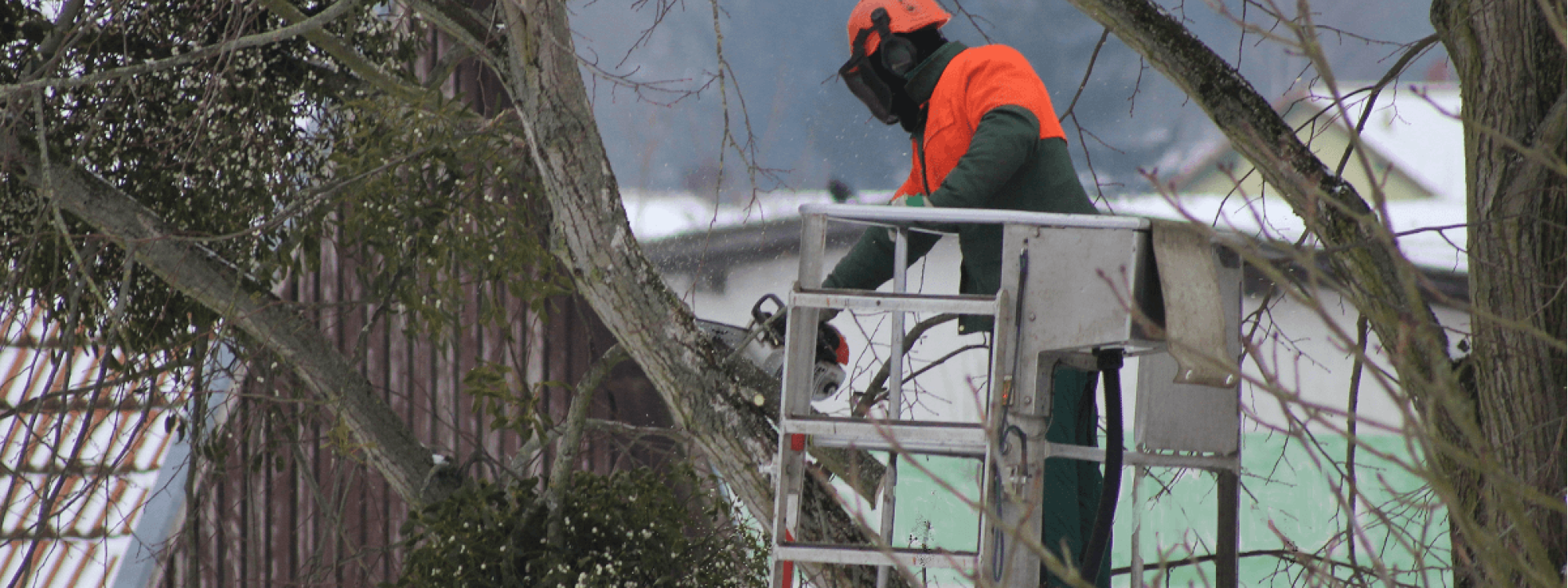 Stein Tree Lift Truck - Tree Trimming in Talleyville DE